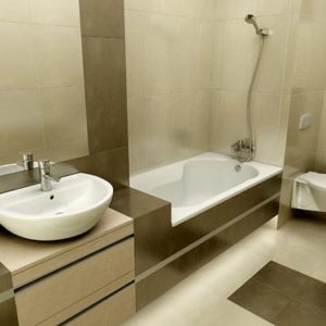 bath (299/360)